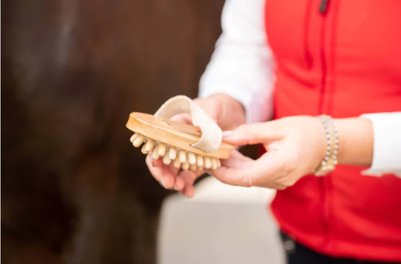 Smart grooming - Borstiq Massage Brush-1